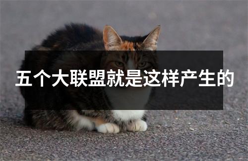 五个大联盟就是这样产生的