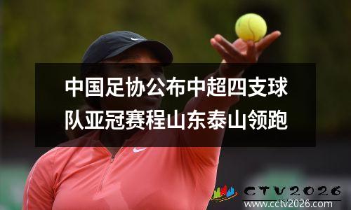 中国足协公布中超四支球队亚冠赛程山东泰山领跑