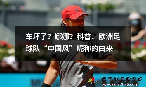 车坏了？娜娜？科普：欧洲足球队“中国风”昵称的由来