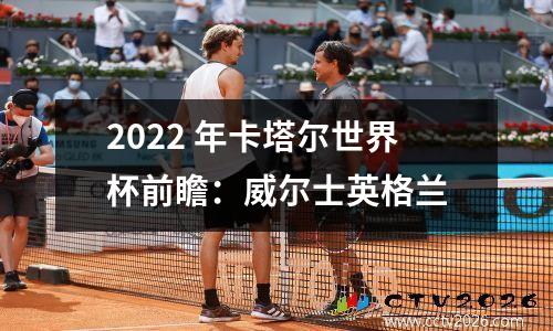2022 年卡塔尔世界杯前瞻：威尔士英格兰