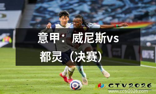 意甲：威尼斯vs 都灵（决赛）
