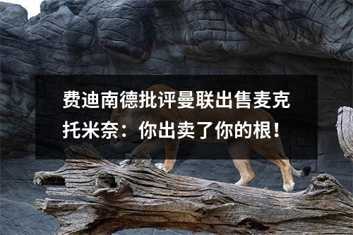 费迪南德批评曼联出售麦克托米奈：你出卖了你的根！