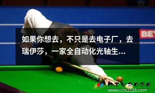 如果你想去，不只是去电子厂，去瑞伊莎，一家全自动化光轴生产工厂。