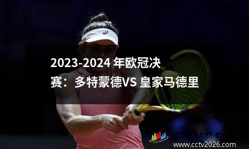 2023-2024 年欧冠决赛：多特蒙德VS 皇家马德里