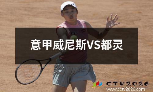 意甲威尼斯VS都灵