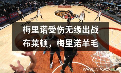 梅里诺受伤无缘出战布莱顿，梅里诺羊毛