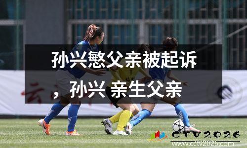 孙兴慜父亲被起诉，孙兴 亲生父亲