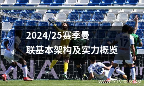 2024/25赛季曼联基本架构及实力概览