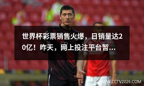 世界杯彩票销售火爆，日销量达20亿！昨天，网上投注平台暂停！