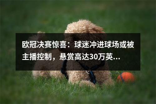 欧冠决赛惊喜：球迷冲进球场或被主播控制，悬赏高达30万英镑
