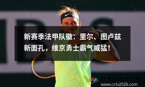 新赛季法甲队徽：里尔、图卢兹新面孔，维京勇士霸气威猛！