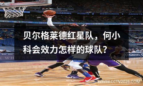 贝尔格莱德红星队，何小科会效力怎样的球队？