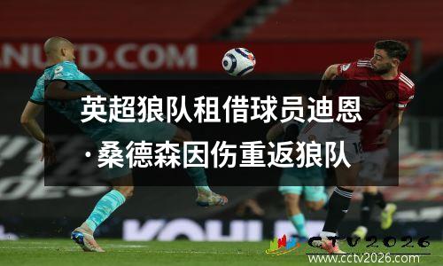 英超狼队租借球员迪恩·桑德森因伤重返狼队