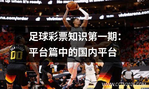 足球彩票知识第一期：平台篇中的国内平台