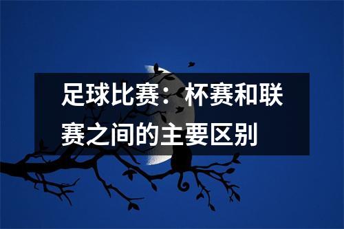 足球比赛：杯赛和联赛之间的主要区别