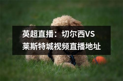 英超直播：切尔西VS莱斯特城视频直播地址
