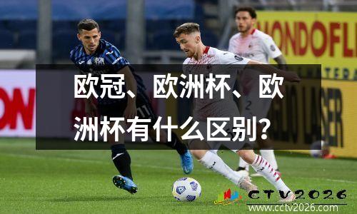 欧冠、欧洲杯、欧洲杯有什么区别？
