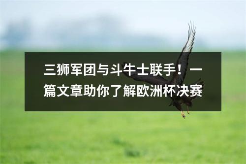 三狮军团与斗牛士联手！一篇文章助你了解欧洲杯决赛