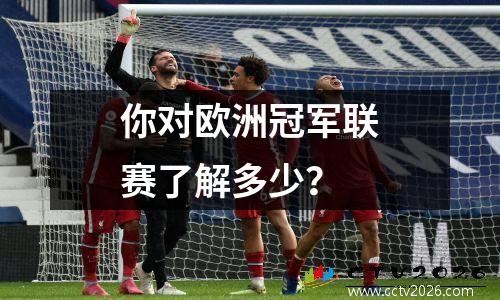 你对欧洲冠军联赛了解多少？