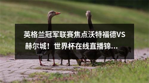 英格兰冠军联赛焦点沃特福德VS 赫尔城！世界杯在线直播锦标赛回放