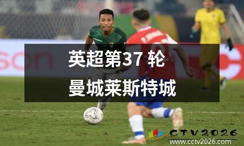 英超第37 轮曼城莱斯特城