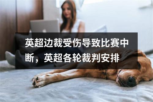 英超边裁受伤导致比赛中断，英超各轮裁判安排