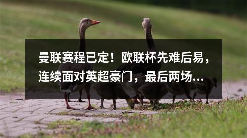 曼联赛程已定！欧联杯先难后易，连续面对英超豪门，最后两场比赛轻松