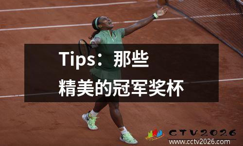 Tips：那些精美的冠军奖杯