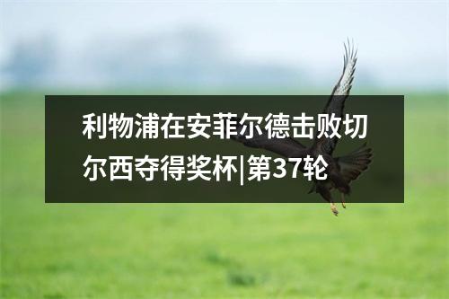 利物浦在安菲尔德击败切尔西夺得奖杯|第37轮