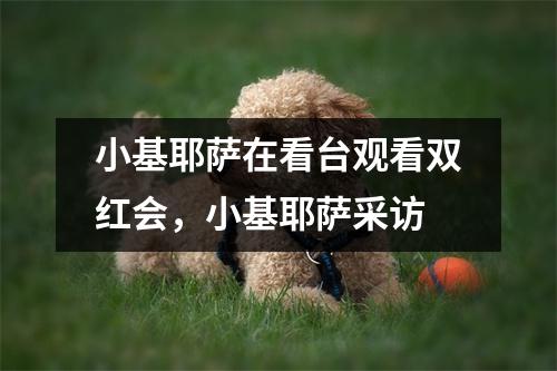 小基耶萨在看台观看双红会，小基耶萨采访