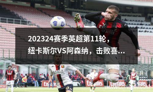 202324赛季英超第11轮，纽卡斯尔VS阿森纳，击败喜鹊