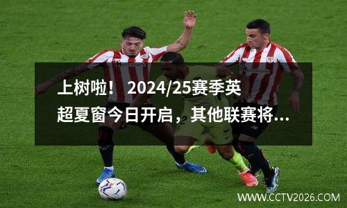 上树啦！ 2024/25赛季英超夏窗今日开启，其他联赛将于7月1日开始