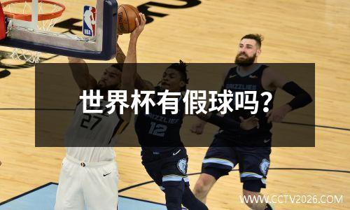 世界杯有假球吗？