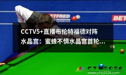 CCTV5+直播布伦特福德对阵水晶宫：蜜蜂不惧水晶宫首轮主场拿分