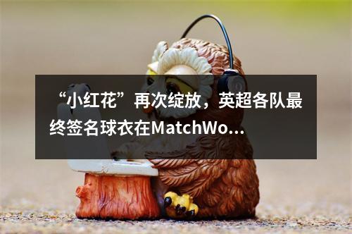 “小红花”再次绽放，英超各队最终签名球衣在MatchWornShirt独家发售