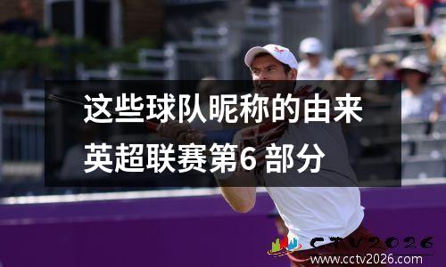 这些球队昵称的由来英超联赛第6 部分