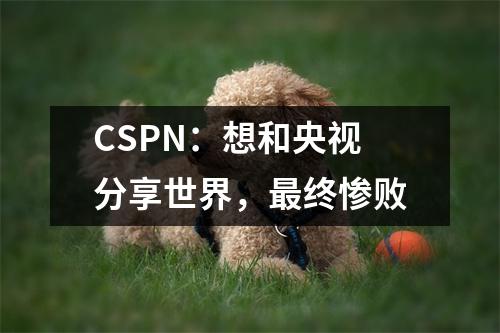 CSPN：想和央视分享世界，最终惨败