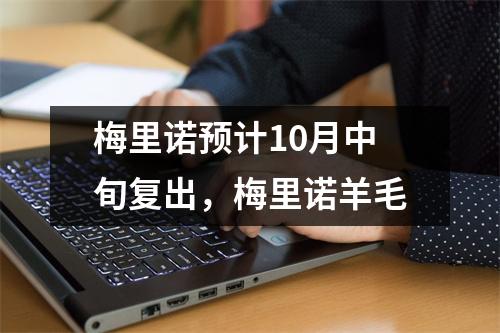 梅里诺预计10月中旬复出，梅里诺羊毛