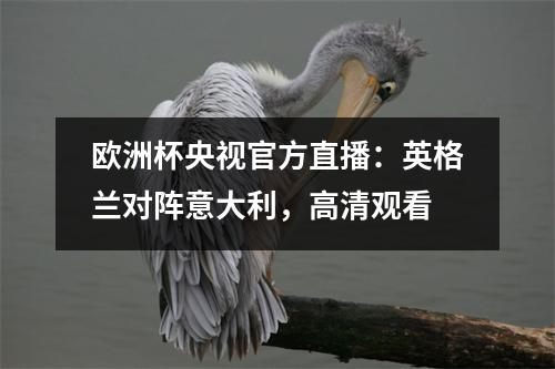 欧洲杯央视官方直播：英格兰对阵意大利，高清观看