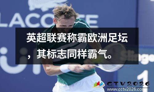 英超联赛称霸欧洲足坛，其标志同样霸气。