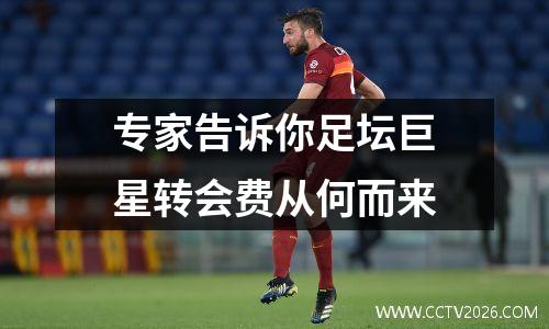 专家告诉你足坛巨星转会费从何而来