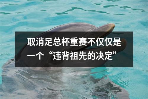 取消足总杯重赛不仅仅是一个“违背祖先的决定”