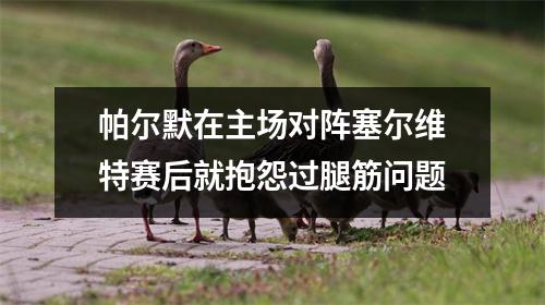 帕尔默在主场对阵塞尔维特赛后就抱怨过腿筋问题