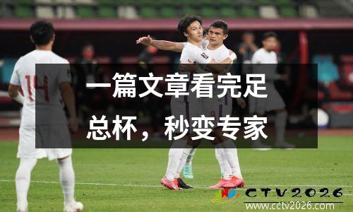 一篇文章看完足总杯，秒变专家