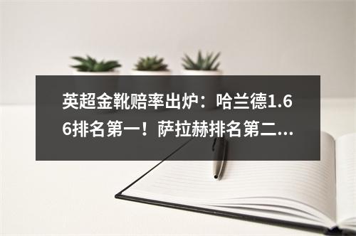 英超金靴赔率出炉：哈兰德1.66排名第一！萨拉赫排名第二，霍伊伦并列第十四