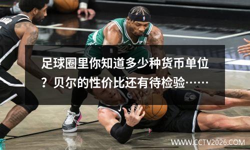 足球圈里你知道多少种货币单位？贝尔的性价比还有待检验……