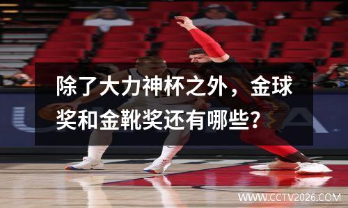 除了大力神杯之外，金球奖和金靴奖还有哪些？