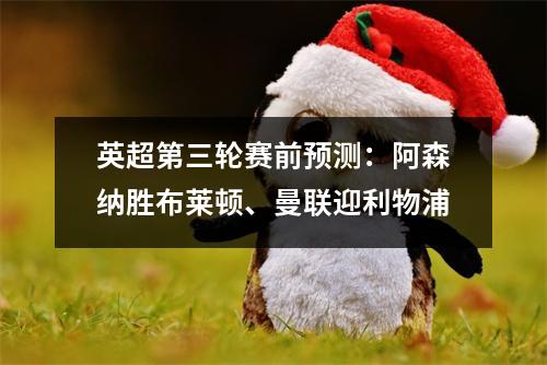 英超第三轮赛前预测：阿森纳胜布莱顿、曼联迎利物浦