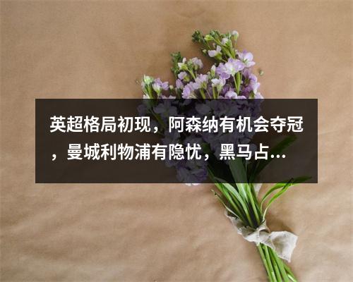 英超格局初现，阿森纳有机会夺冠，曼城利物浦有隐忧，黑马占据优势