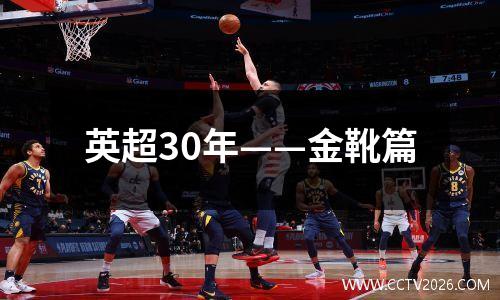 英超30年——金靴篇